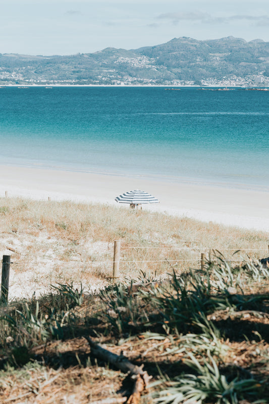 Our 6 Favorite Chilled Reds for Summer