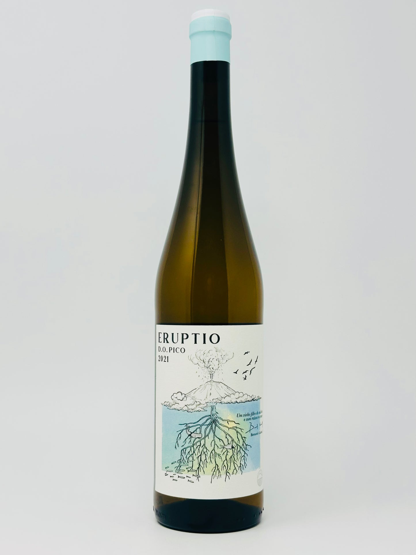 Eruptio White Blend
