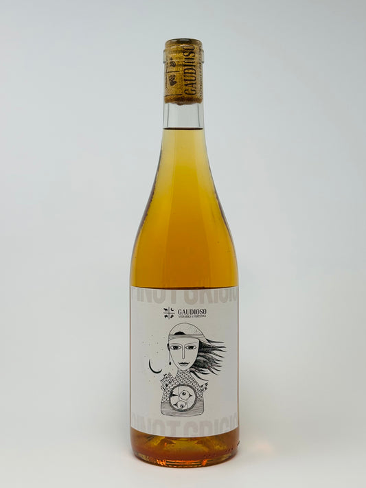 Gaudioso Terre Siciliane Pinot Grigio